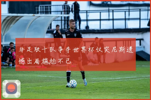 非足联十队争夺世界杯仅突尼斯遗憾出局尴尬不已