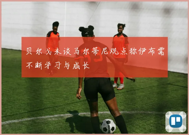 贝尔戈米谈马尔蒂尼观点称伊布需不断学习与成长