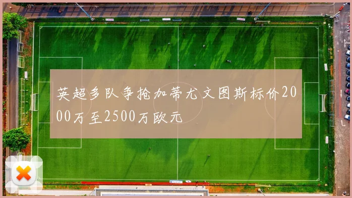 英超多队争抢加蒂尤文图斯标价2000万至2500万欧元